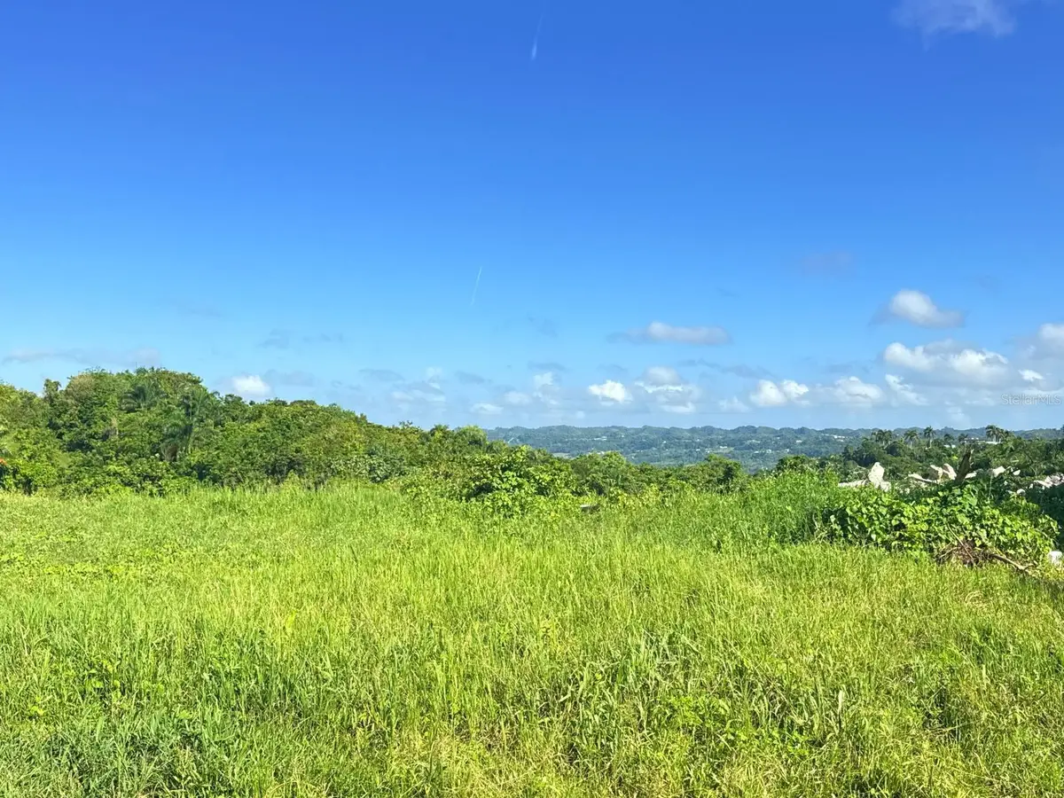 CARR 119 km 27.9 int Bo Hoyamala, San Sebastian, PR 00685 - #1