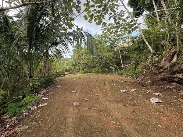 835 Km 5.4 Int,. Lot 8 Mamey Wd #LOT 8, GUAYNABO, PR 00969