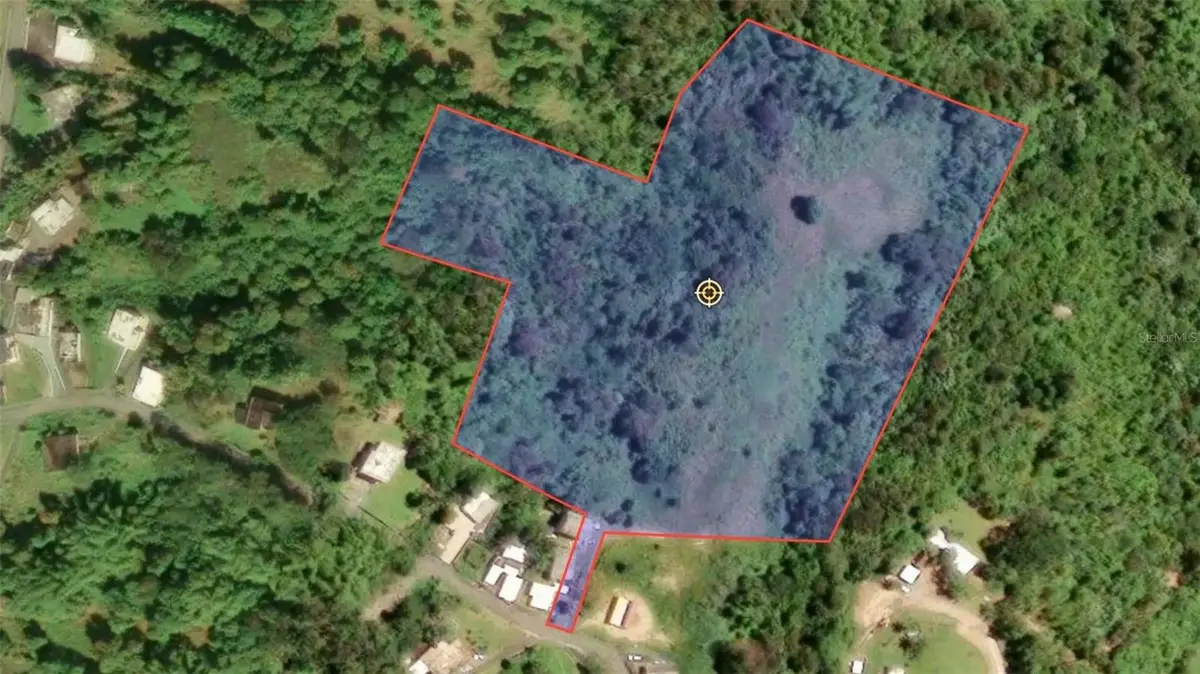 BO VALENCIANO ARRIBA Carr 919 Km 4.0, Juncos, PR 00777 - #1
