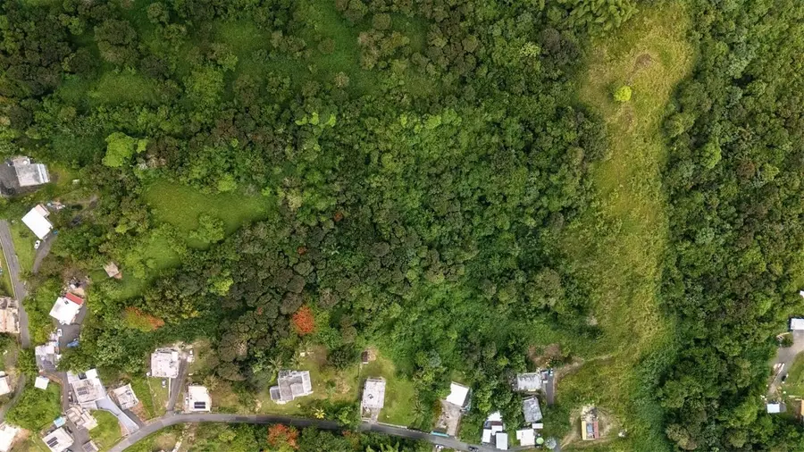 BO VALENCIANO ARRIBA Carr 919 Km 4.0, Juncos, PR 00777 - #2