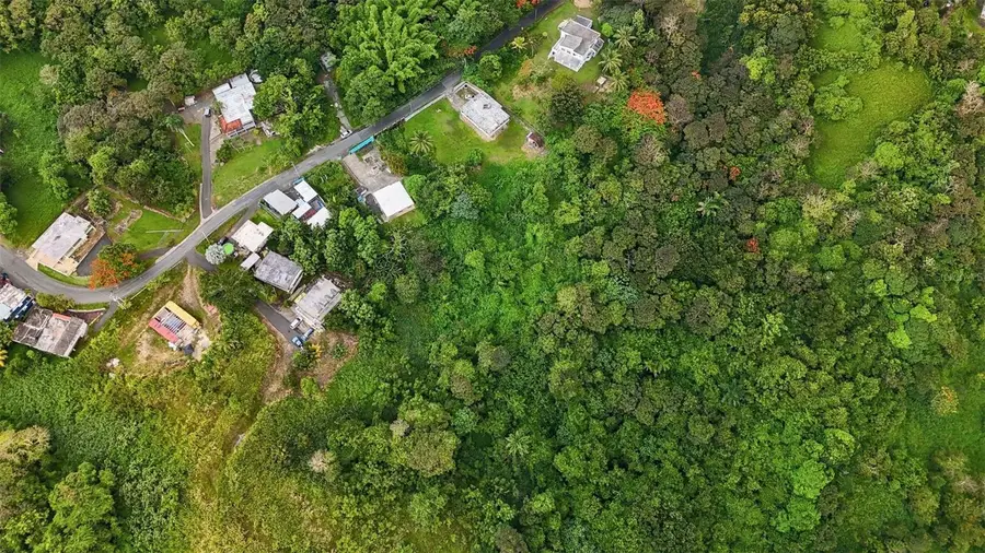 BO VALENCIANO ARRIBA Carr 919 Km 4.0, Juncos, PR 00777 - #3