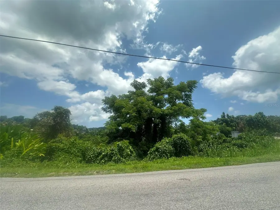 Carr. 4403 Barrio Naranjo, Moca, PR 00676 - #2