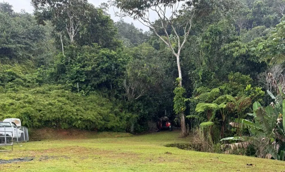 Address Withheld By Seller, Bayamon, PR 00956 - #1