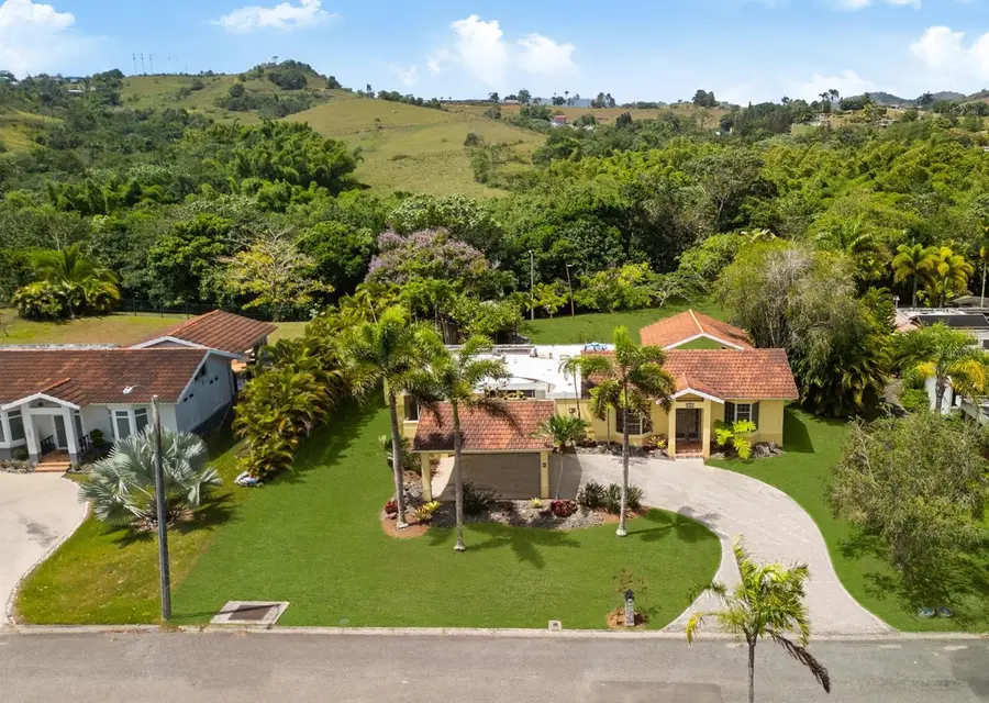 383 Camino Los Flamboyanes, Cidra, PR 00739 - #3