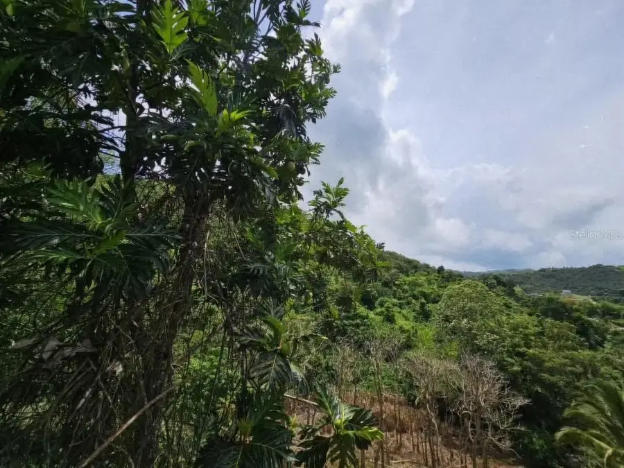 7730 km02 Honduras, Cidra, PR 00739 - #2