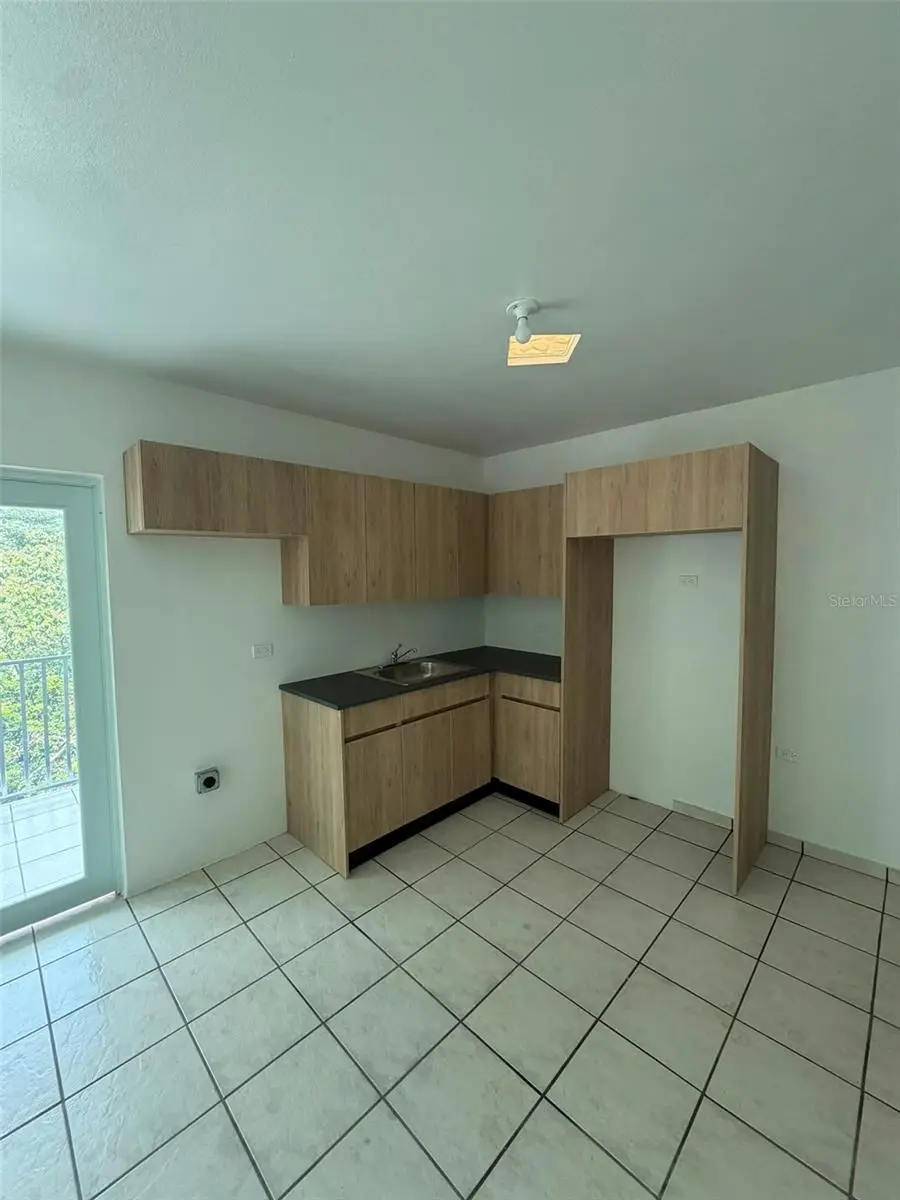 164 Palmarejo Palmarejo, Corozal, PR 00783 - #2