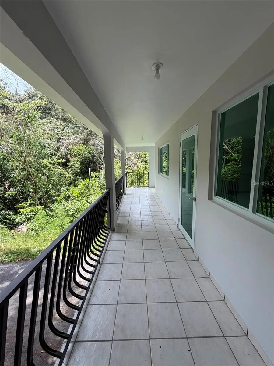 164 Palmarejo Palmarejo, Corozal, PR 00783 - #3