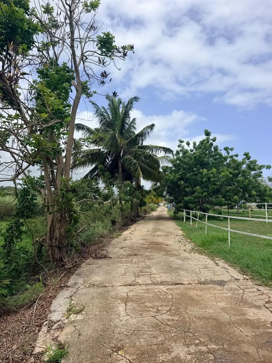 CARR 690 KM 3.2 Bo Sabana Hoyos, Vega Alta, PR 00692 - #3