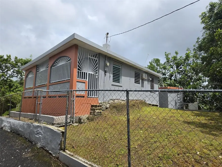 PR 9920 Quebrada Arenas, San Lorenzo, PR 00754 - #2