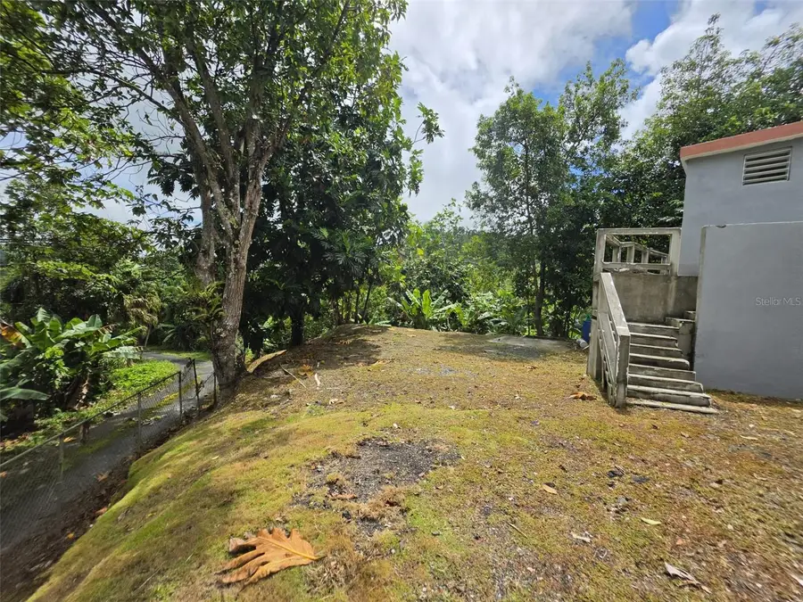 PR 9920 Quebrada Arenas, San Lorenzo, PR 00754 - #3