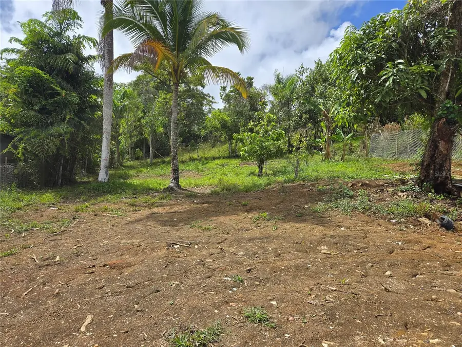 Address Withheld By Seller, Orocovis, PR 00720 - #3