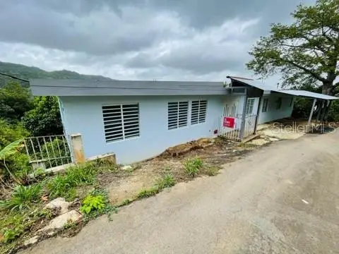 SR-146 Bo. Fronton, Ciales, PR 00638 - #2