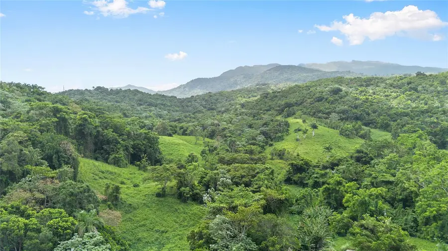968 Bo. Zarzal, Rio Grande, PR 00745 - #3