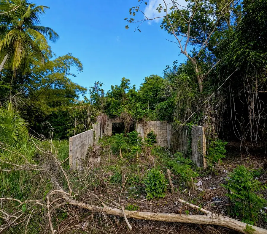 PR-982 Km 2.3, Fajardo, PR 00738 - #3