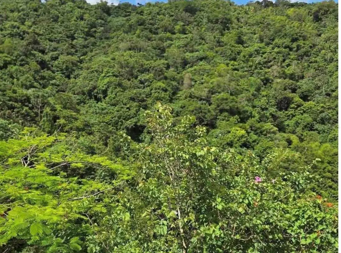 Carr 15 Km 21, Cayey, PR 00736 - #1