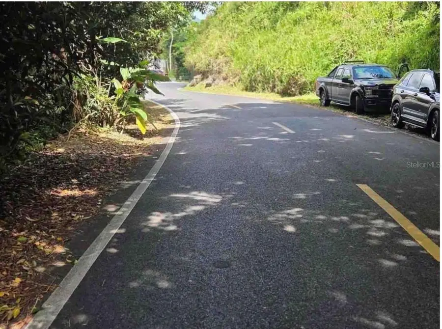 Carr 15 Km 21, Cayey, PR 00736 - #3