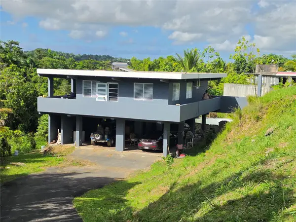 PR 900 Bo Guayabota, YABUCOA, PR 00767