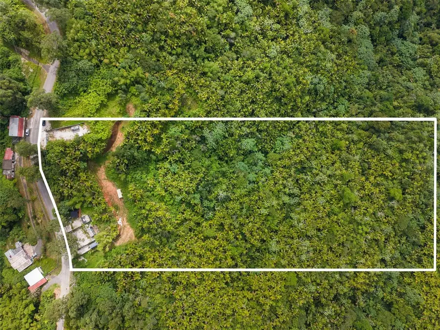 Carr 149 Finca Villa Azul, Juana Diaz, PR 00795 - #2