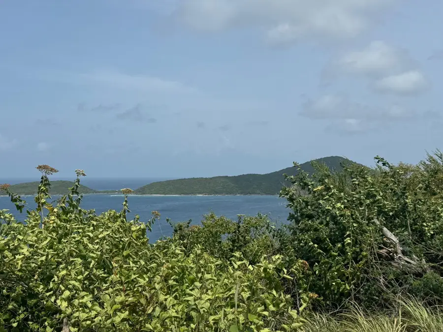 1 La Quinta, Culebra, PR 00775 - #3