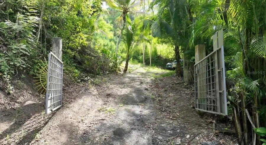 Carr 176 Km 9.9 Cupey, San Juan, PR 00926 - #3