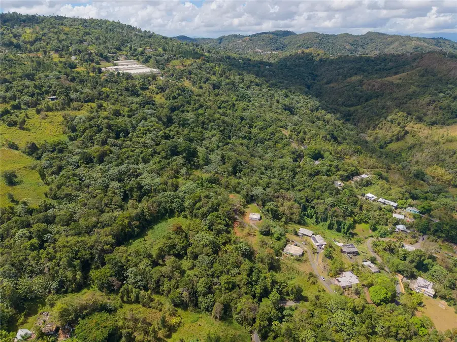 Barrio Cubuy, Canovanas, PR 00729 - #2
