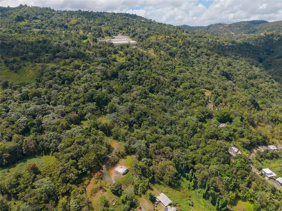 Barrio Cubuy, Canovanas, PR 00729 - #3