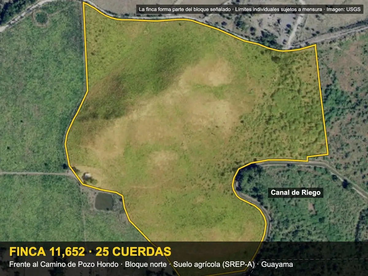 Pozo Hondo Finca 11652, Guayama, PR 00784 - #1