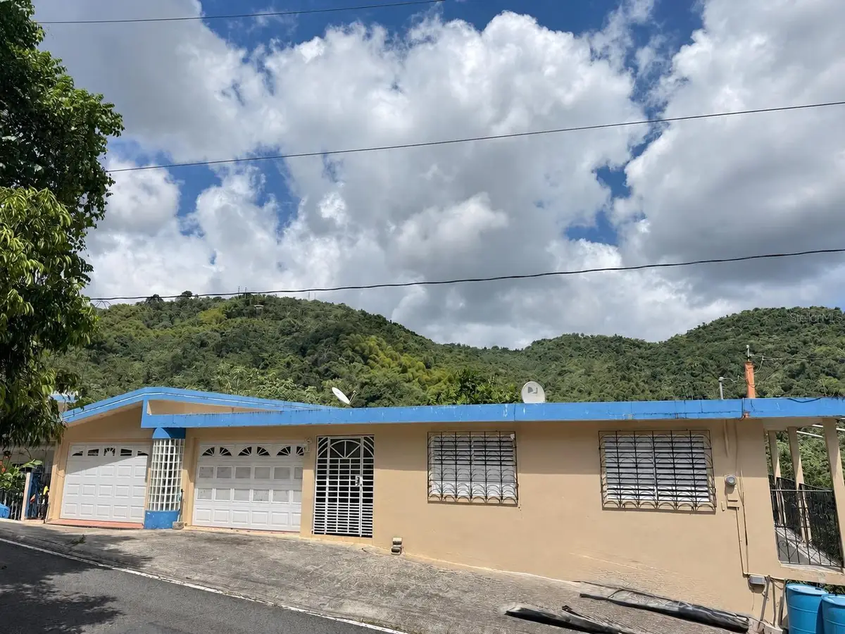 CARR 949 KM 1.4 Bo Rio, Las Piedras, PR 00771 - #1