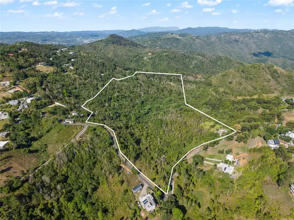 Bo. Cercadillo, CAYEY, PR 00736