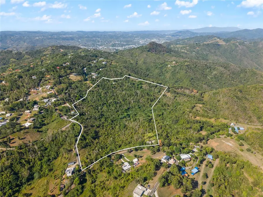 Bo. Cercadillo, Cayey, PR 00736 - #2