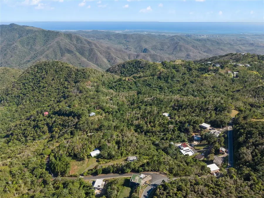 Bo. Cercadillo, Cayey, PR 00736 - #3