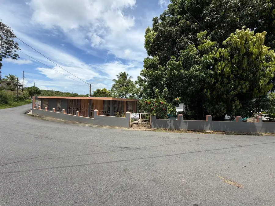 Carr # 31, Km 10,0 Sector El Comun, Rio Blanco, PR 00744 - #3