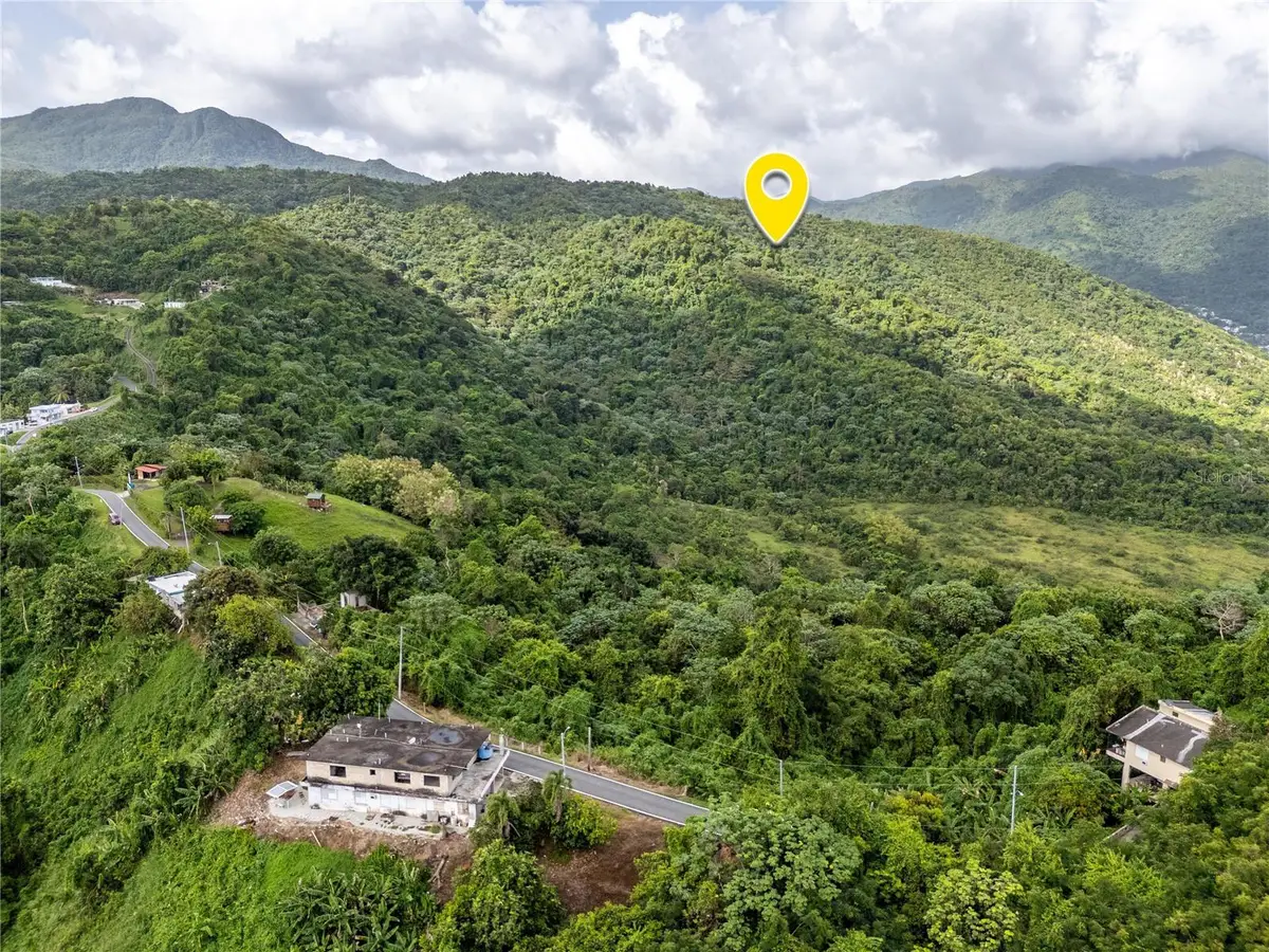 Bo. Rio Blanco, Naguabo, PR 00718 - #1