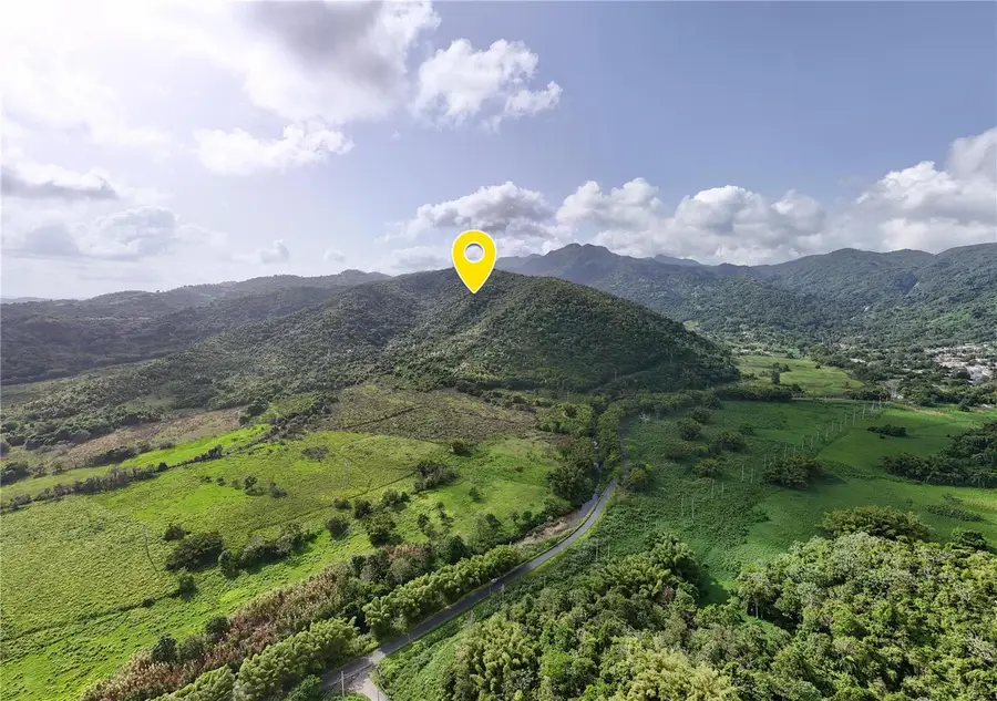 Bo. Rio Blanco, Naguabo, PR 00718 - #3