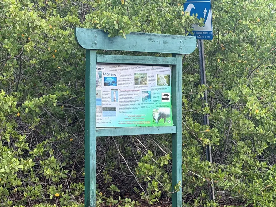 Carr 303 Km 11.3 #11.3, Cabo Rojo, PR 00623 - #3