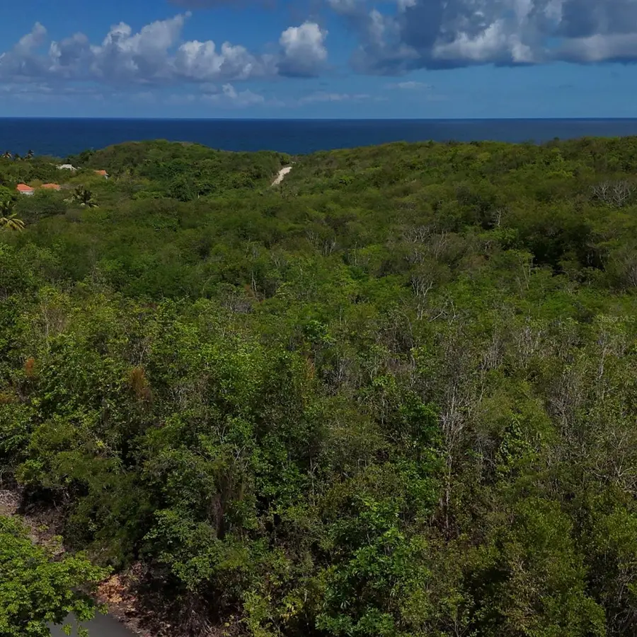 Robley Valley #46, Humacao, PR 00791 - #2