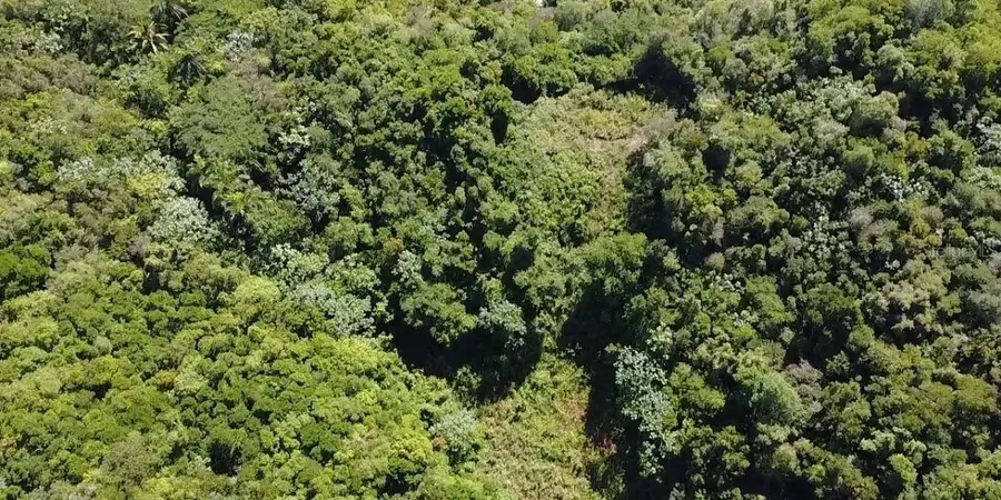 Carr 475 KM.HM 5.9 Bo Llanadas, Isabela, PR 00662 - #3