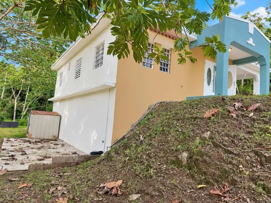 363 KM 2.1 Cll Miguel Lugo Madera, Sabana Grande, PR 00637 - #3