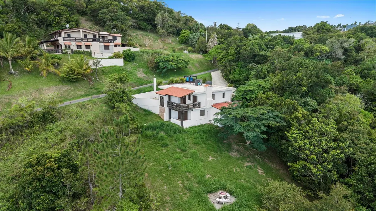 Carr 162 Bo Cuyn, Aibonito, PR 00705 - #1