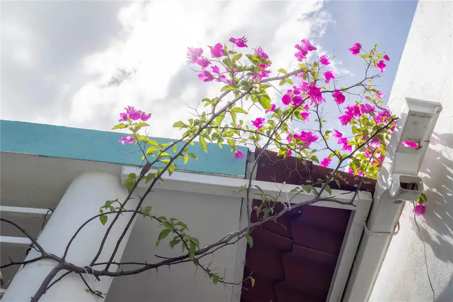134 Valle De Anasco, Anasco, PR 00610 - #3