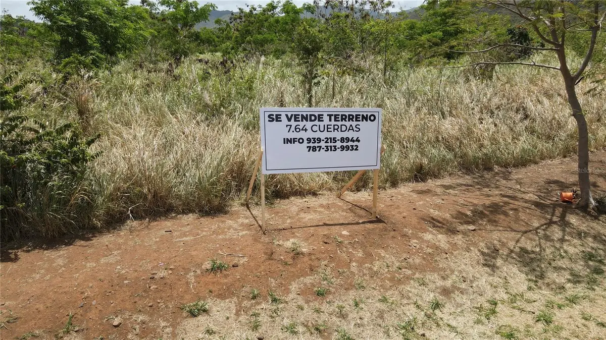 Carr 748 KM 1.4 Bo. Caimital, Guayama, PR 00784 - #1