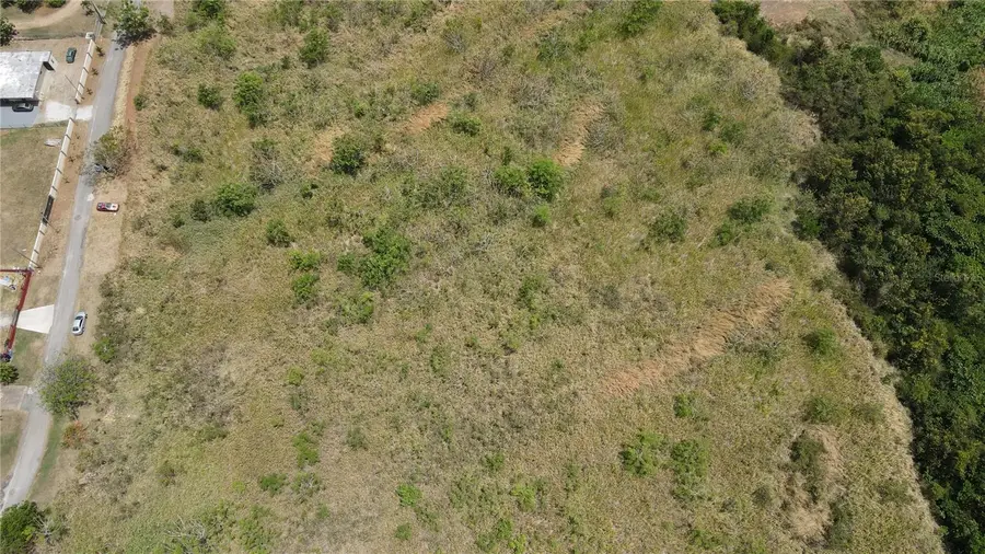 Carr 748 KM 1.4 Bo. Caimital, Guayama, PR 00784 - #3