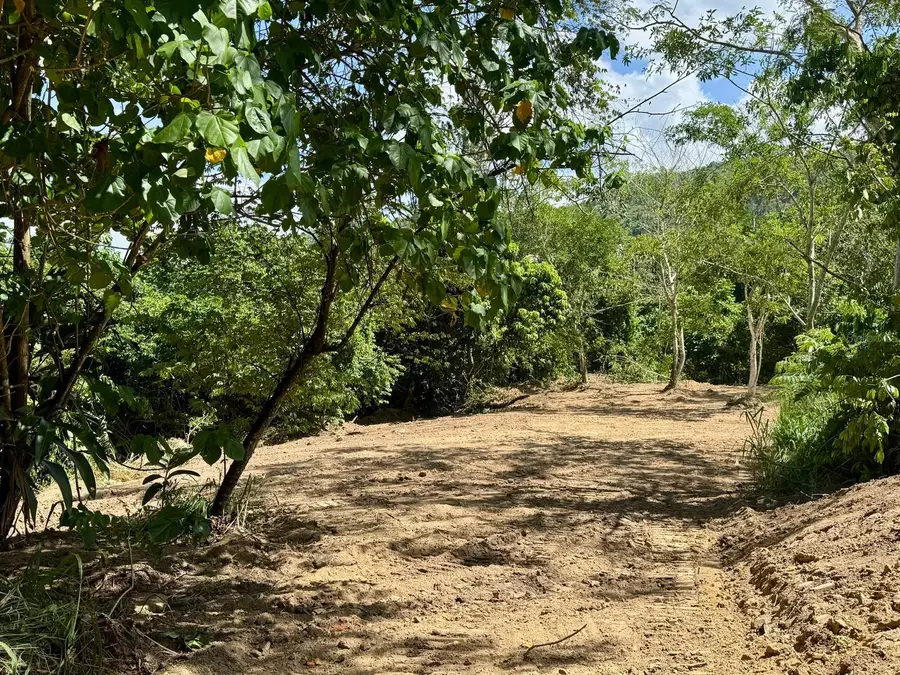 PR 796 Km 1.4 Rio Canas Ward, Caguas, PR 00725 - #3