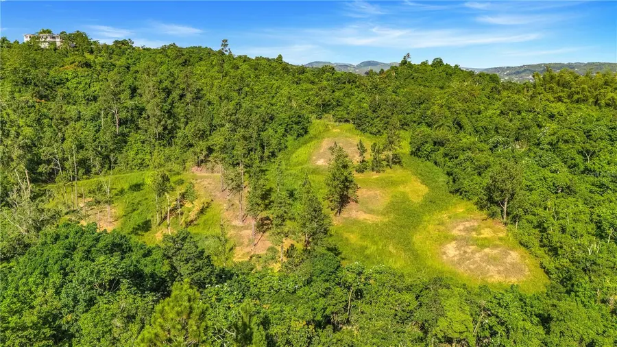 63 Sector Monticello, Cidra, PR 00739 - #2