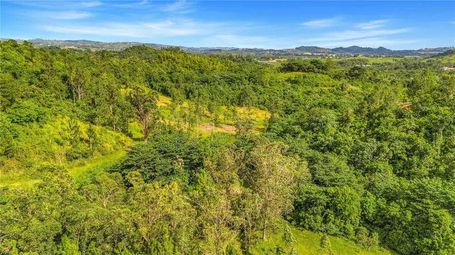 63 Sector Monticello, Cidra, PR 00739 - #3