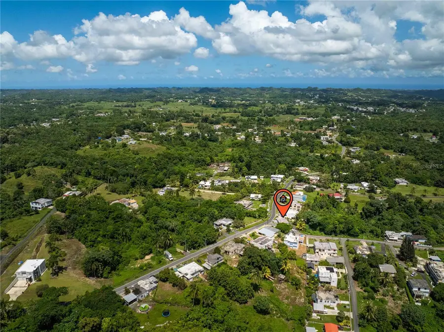 Carretera 454 H5.k6, Barrio Callejones, Lares, PR 00669 - #3