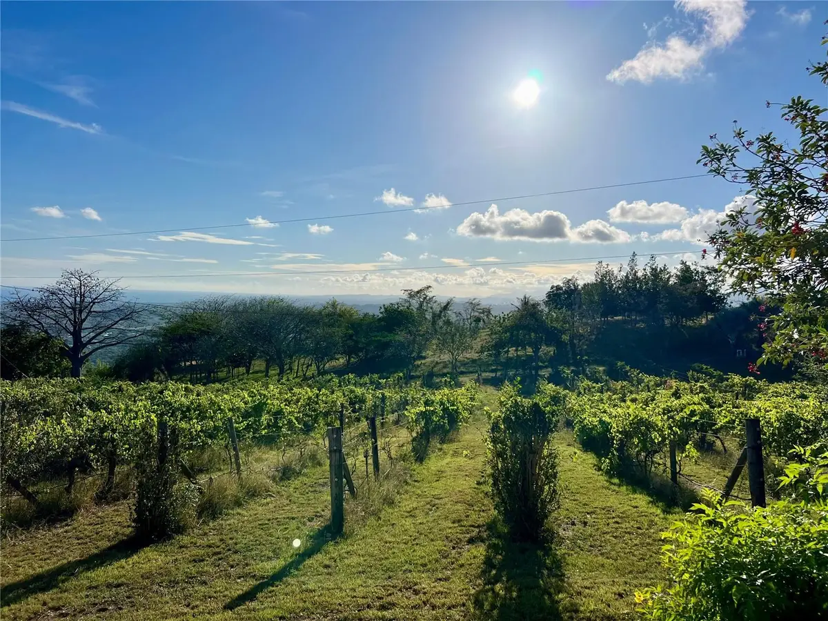 Pr 154 Km 1.2 Int Bo Jauca Ii, Santa Isabel, PR 00757 - #1