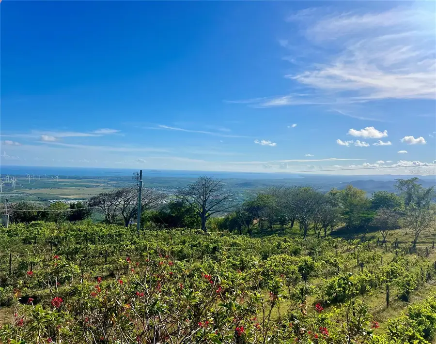 Pr 154 Km 1.2 Int Bo Jauca Ii, Santa Isabel, PR 00757 - #2
