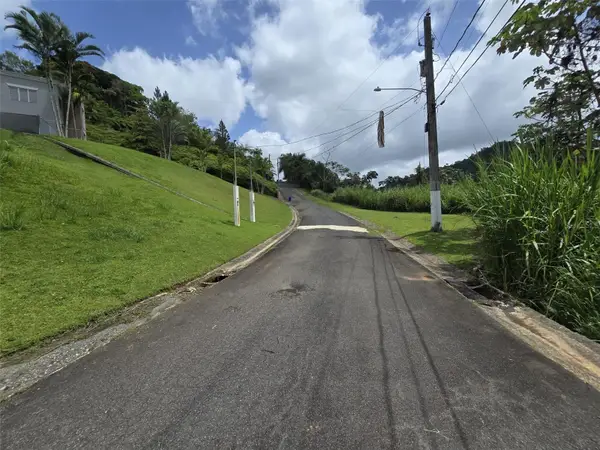 #62 Estancias La Sierra Ii, AGUAS BUENAS, PR 00703