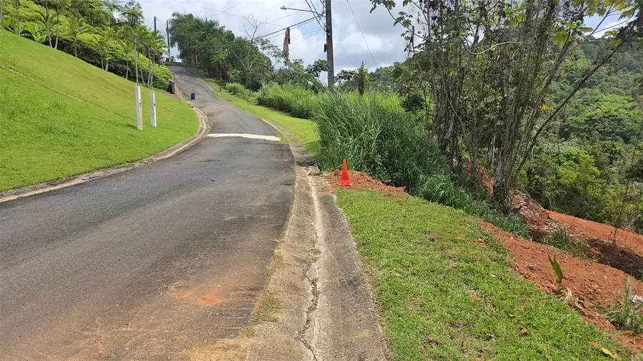 #62 Estancias La Sierra Ii, Aguas Buenas, PR 00703 - #2